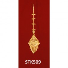 STK509 TIKA